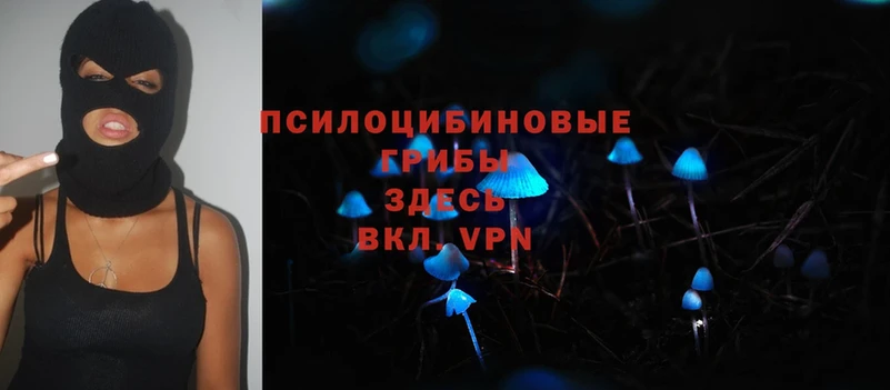 Псилоцибиновые грибы MAGIC MUSHROOMS  Железногорск 